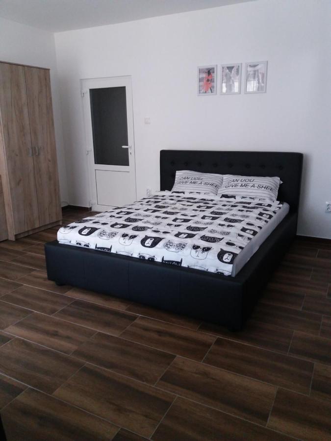 Ferienwohnung Stan Na Dan Dunja 2 Vrsac Exterior foto